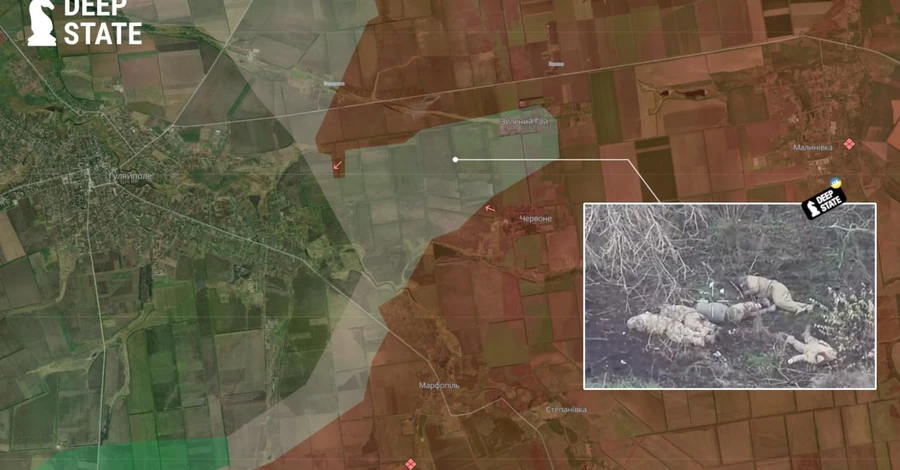 Россияне расстреляли 5 пленных бойцов возле Зеленого Гая на Запорожье, - DeepState