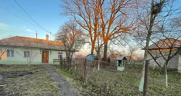 «Спускаємось на землю»: чому українці масово переселяються з міст до села