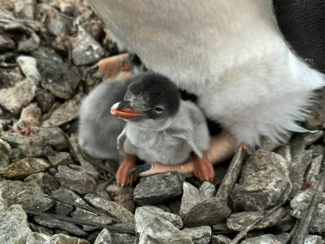 Поблизу станції 