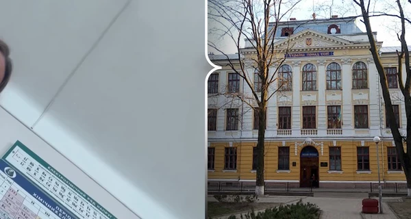 В Черновцах уволили учительницу, которая назвала ученика 