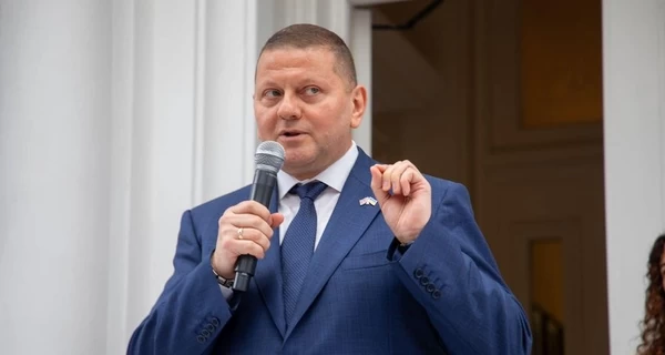 ОО «Защита государства» готовят как политическую платформу для Залужного, - правозащитник