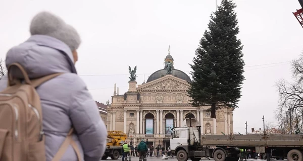 Новорічні ялинки України: в Полтаві - перша за роки війни, у Львові - подарунок від мешканців