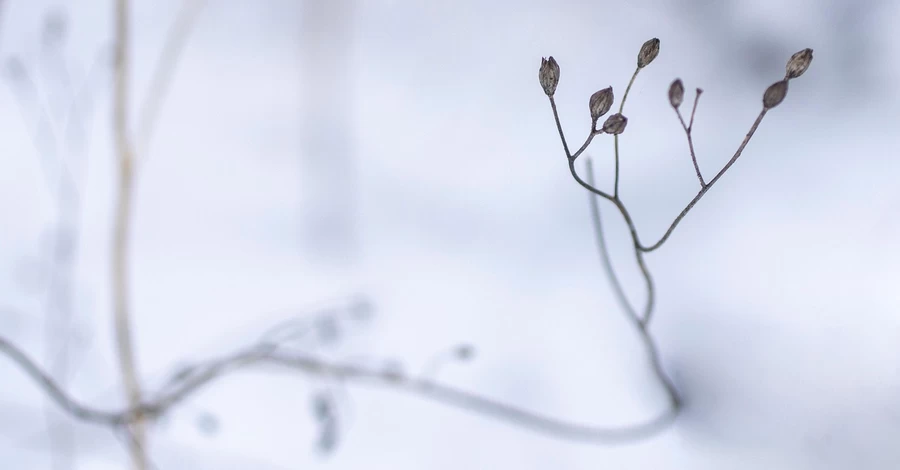 В Украину возвращается с 8 декабря потепление, в некоторых областях - до +10