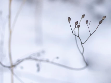 В Украину возвращается с 8 декабря потепление, в некоторых областях - до +10