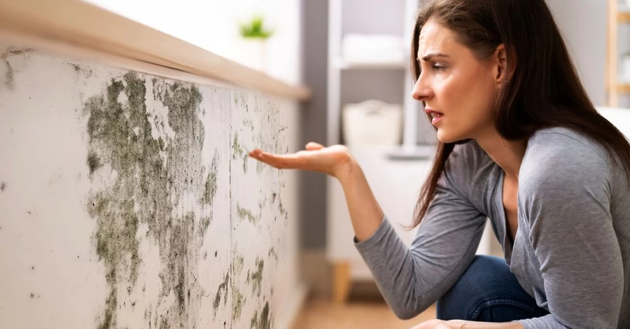 Чим небезпечна пліснява і як вона руйнує наше здоров'я