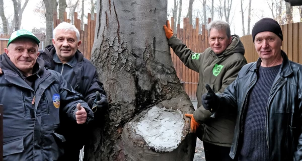 В Киевском зоопарке спасли столетний бук