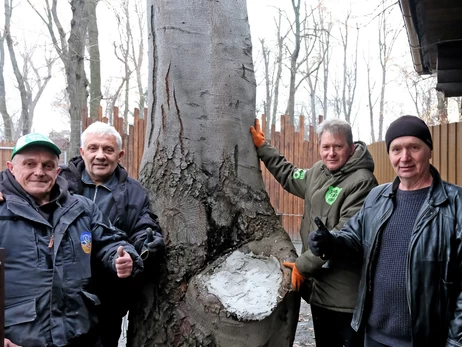 У Київському зоопарку врятували столітній бук