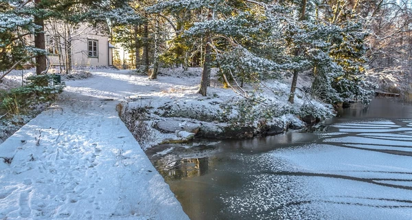 Погода в Украине 10 декабря - теплее всего будет на западе, но практически по всей стране прогнозируют дождь