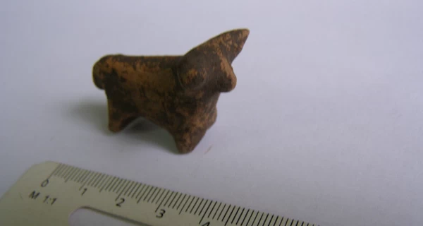 На Прикарпатье археологи нашли глиняную фигурку бычка, которому около 6 тысяч лет