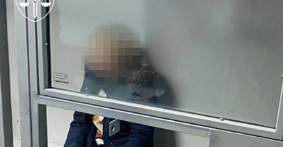 Германия экстрадировала в Украину харьковчанку, торговавшую детьми под видом суррогатного материнства