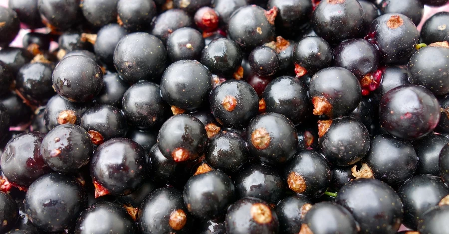 Експерти назвали чорну смородину головним смаком 2026 року