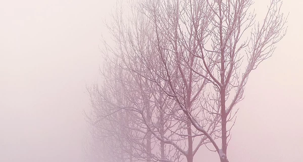 В Украине 21 декабря ожидается до +3 тепла, но ряд областей накроет туман