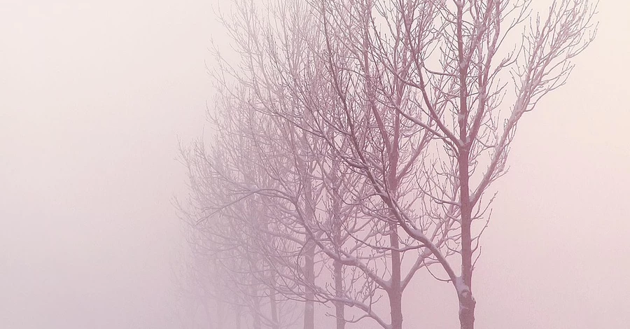 В Україні 21 грудня очікується до +3 тепла, але низку областей накриє туман