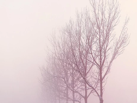 В Україні 21 грудня очікується до +3 тепла, але низку областей накриє туман