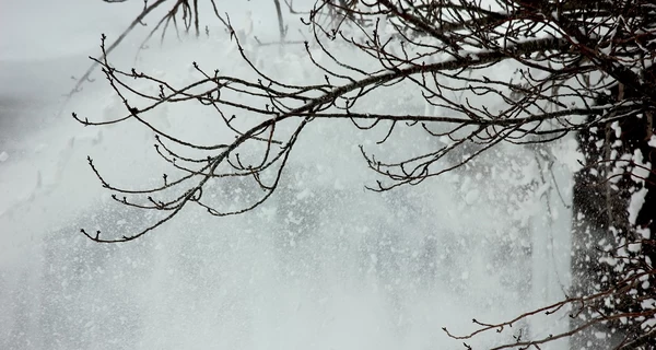 В Украину 22 декабря возвращается потепление, но в некоторых областях ожидается снег