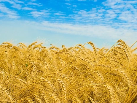 Оточення Міндіча поставляло українське зерно в Іран через Одесу і Туреччину, — Порошенко