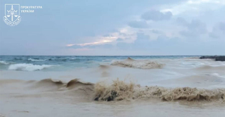 На одеських пляжах помітили нафтові плями та загиблих птахів - розпочато розслідування