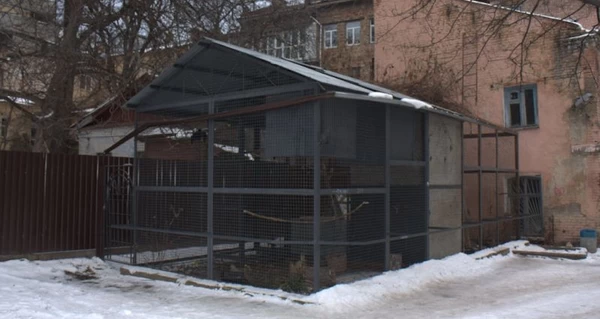 Киевляне поддержали петицию против перестройки исторического флигеля во 