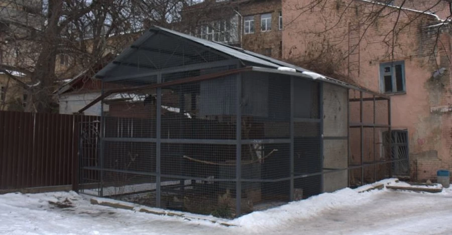 Кияни підтримали петицію проти перебудови історичного флігеля в 