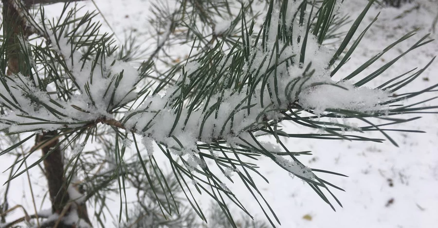 Погода в Україні на вихідні - прогнозують мокрий сніг та сильний вітер