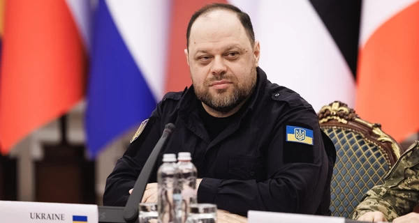 Стефанчук назвав питання, яке може бути винесене на референдум