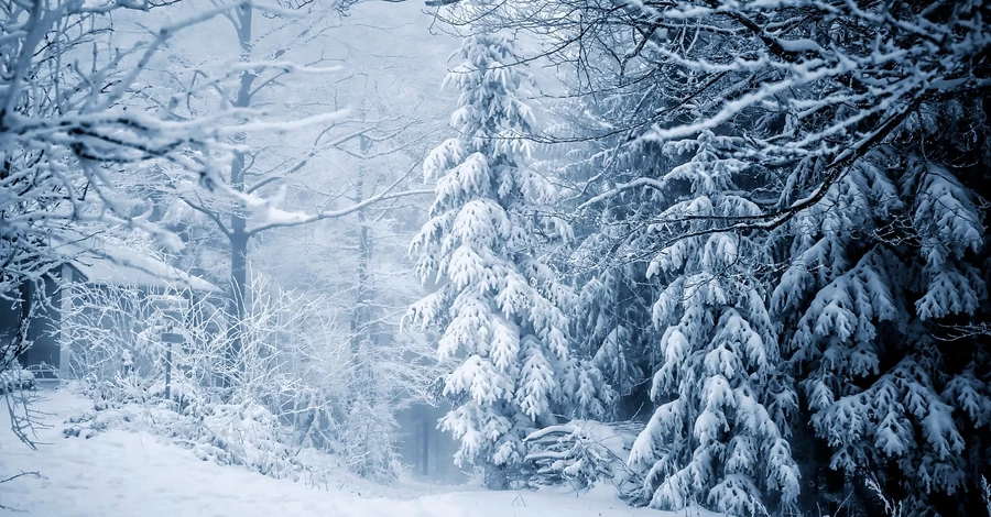 5 січня в Україні буде неоднорідна погода, а наприкінці тижня прийдуть морози до -17