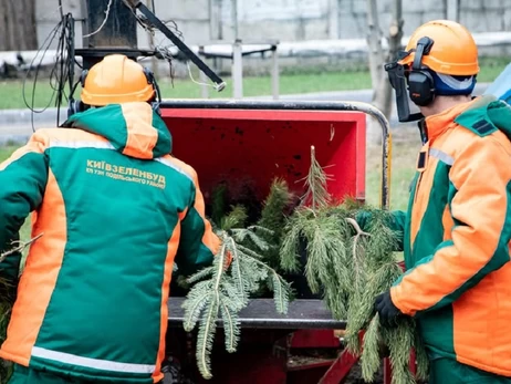 Куда деть живую елку после праздников