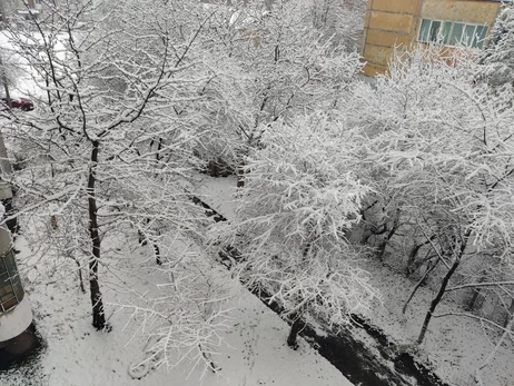 Негода в Україні - в Карпатах видимість до 50 метрів, а Київ засипає снігом