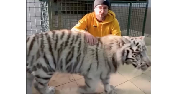 Керівник «Фельдман Екопарку»: Хижаки вже відійшли від стресу після новорічного обстрілу