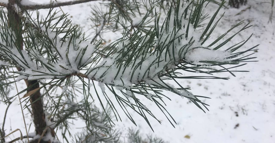 Ночью синоптики прогнозируют до 18 градусов мороза - прогноз погоды на 11 января
