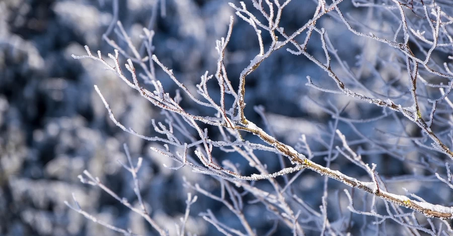 В Україні 13 січня очікуються серйозні морози, у деяких областях до -20