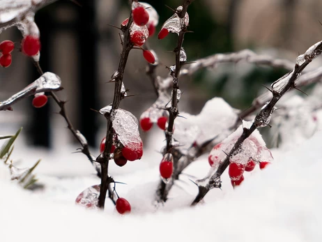 14 січня – яке сьогодні церковне свято, що не можна робити, все про цей день