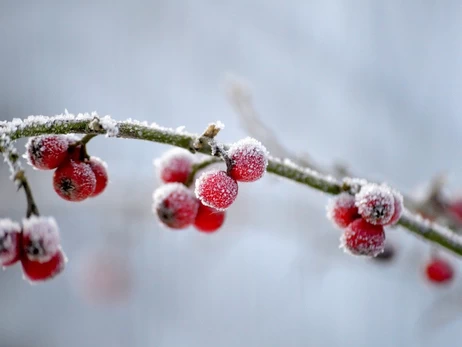 В Україні 18 січня утримається морозна погода, в деяких областях до -20