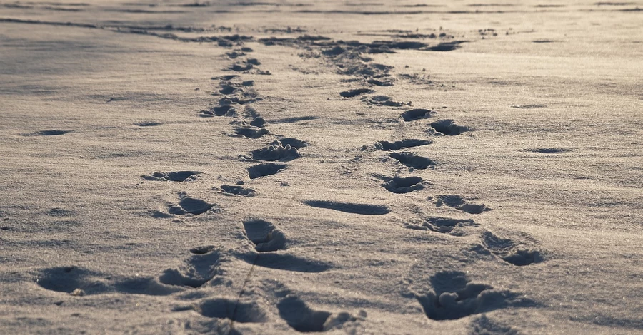 В Україні 26 січня очікуються дощі та мокрий сніг, у деяких областях - мороз до -13
