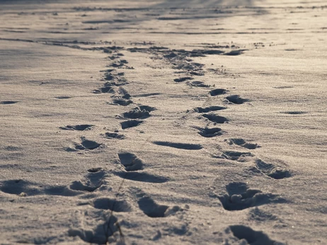 В Україні 26 січня очікуються дощі та мокрий сніг, у деяких областях - мороз до -13