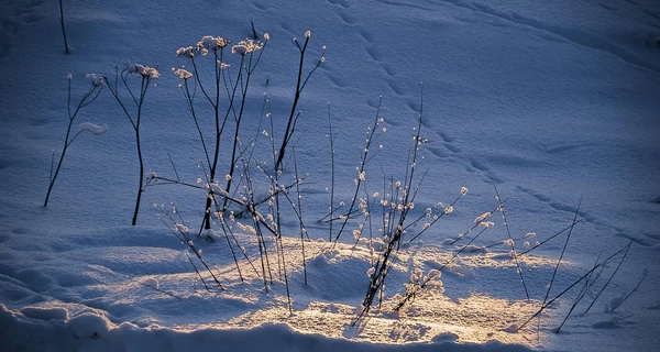 27 января на западе Украины будет до +6 градусов, но затем придет существенное похолодание