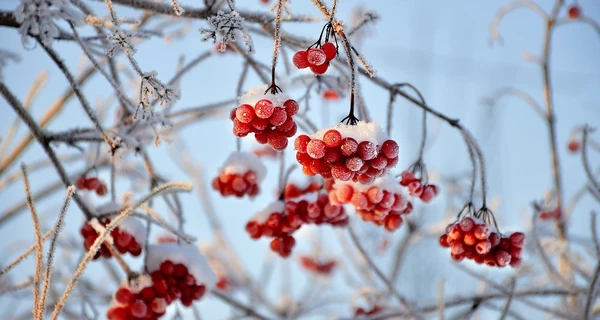 1 февраля - какой сегодня церковный праздник, что сегодня нельзя делать, все об этом дне
