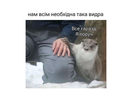 Анекдоти та меми тижня: починаємо розуміти, чому раніше люди спалювали опудало зими