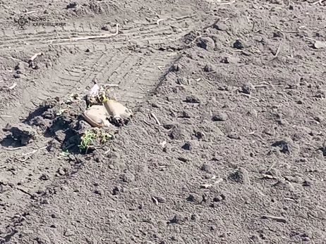 У Херсоні на міні підірвався автомобіль з сім'єю, серед постраждалих - двоє дітей