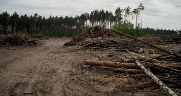 Військових обурило рішення Верховного Суду, який визнав незаконною передачу ділянки під меморіальне кладовище