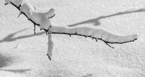 Украину 2 февраля накроет 28-градусный мороз, который продлится несколько дней