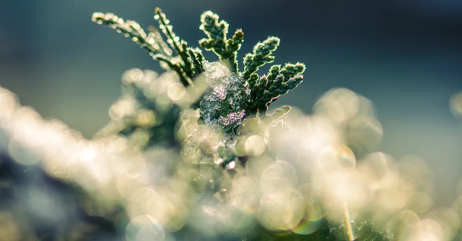 Погода на 5 февраля – в Украину идет потепление, но не надолго