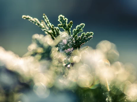 Погода на 5 февраля – в Украину идет потепление, но не надолго