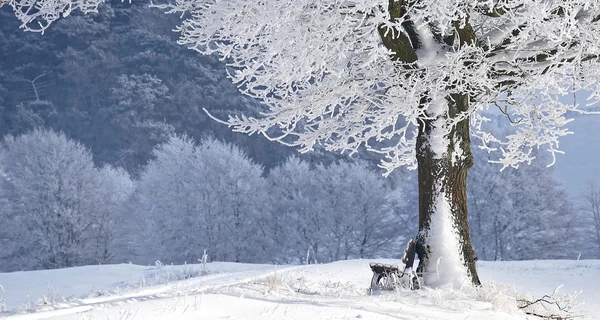 6 февраля - какой сегодня праздник, что нельзя делать, традиции и приметы, все об этом дне