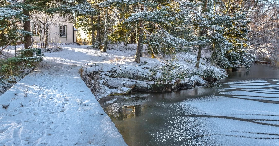 Погода в Украине 6 февраля: снег, мокрый снег, на западе и юге - с дождем