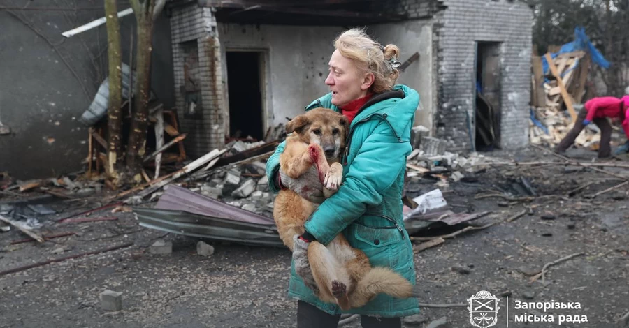 Росіяни вдарили по собачому притулку у Запоріжжі, загинуло багато тварин