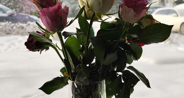 Разделяй и властвуй