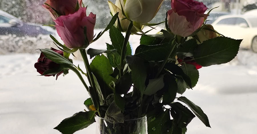 Разделяй и властвуй