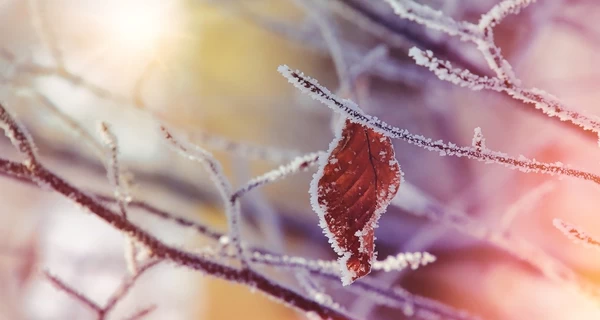 8 февраля - какой сегодня праздник, что нельзя делать в этот день, какой церковный праздник, все об этом дне