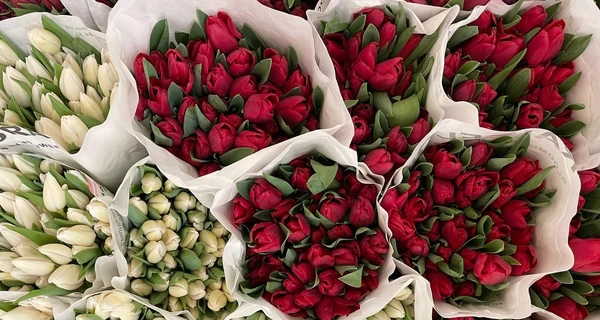 Тюльпаны к праздникам будут 